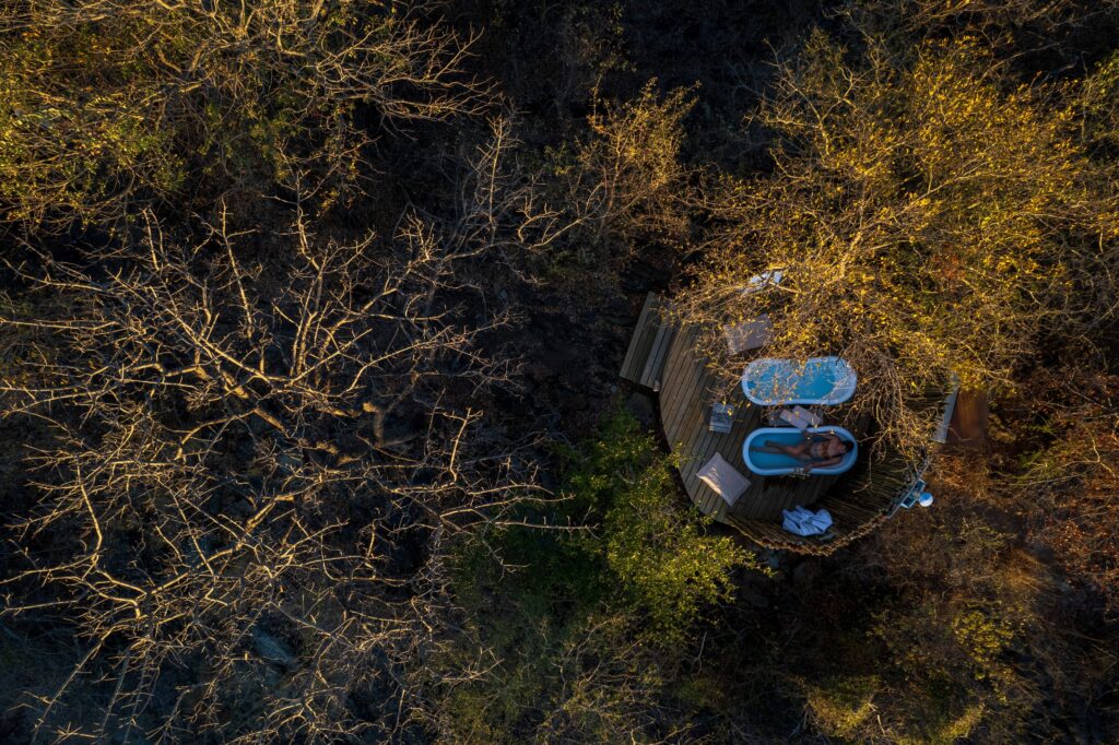 Star bath beneath the open skies at Sashwa