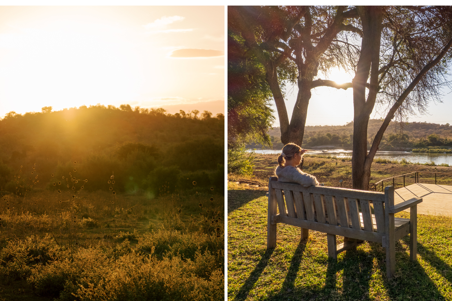 Finding Nature Everywhere: Sashwa