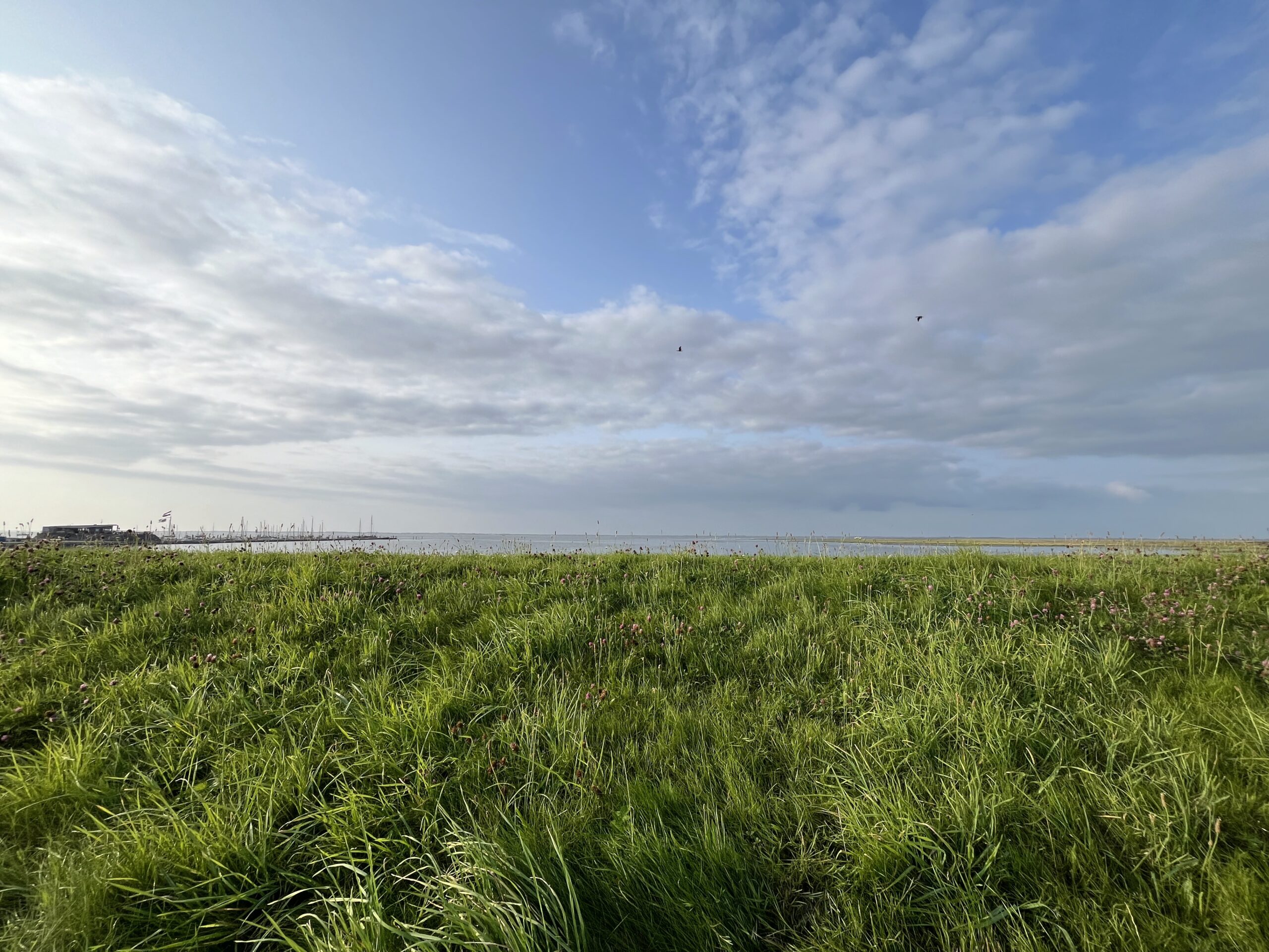 Dutch sky